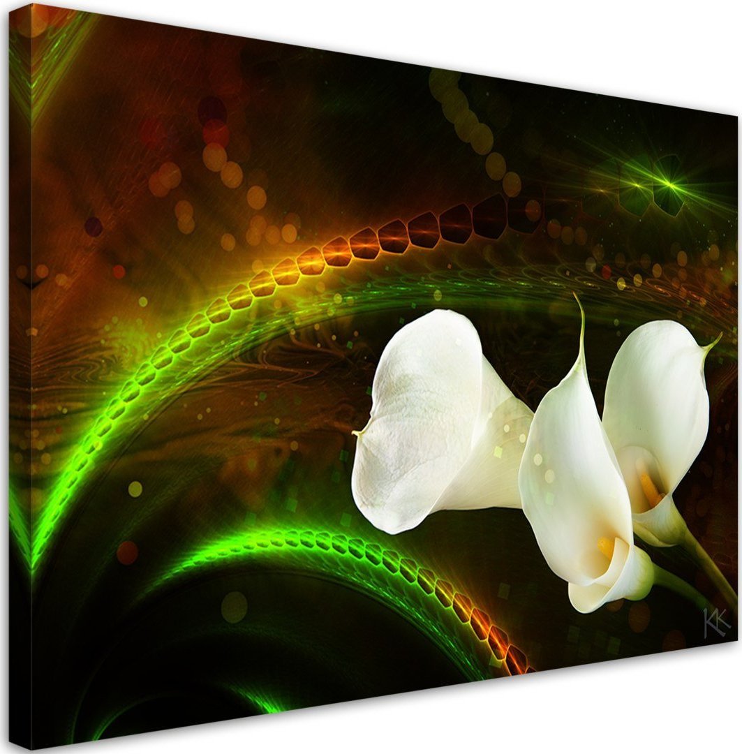 Feeby Obraz na płótnie, White flower on brown background - 120x80