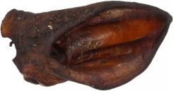 Arami Ucho dzika 2szt.