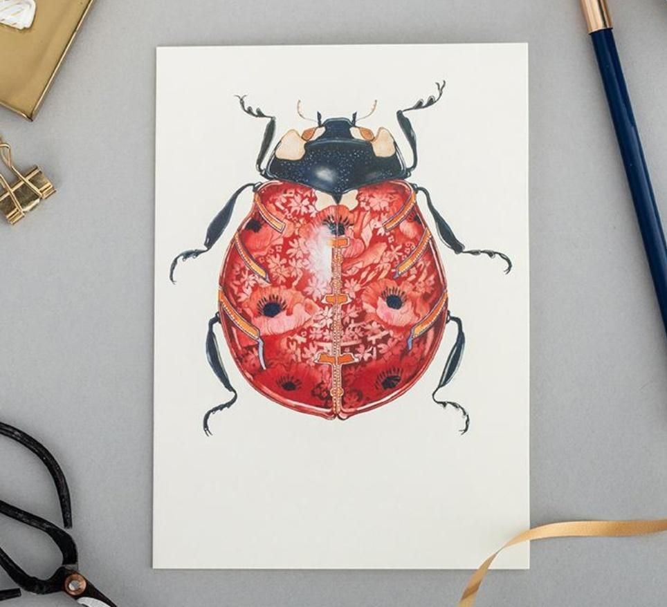 DM Collection Karnet A066 B6 + koperta Biedronka