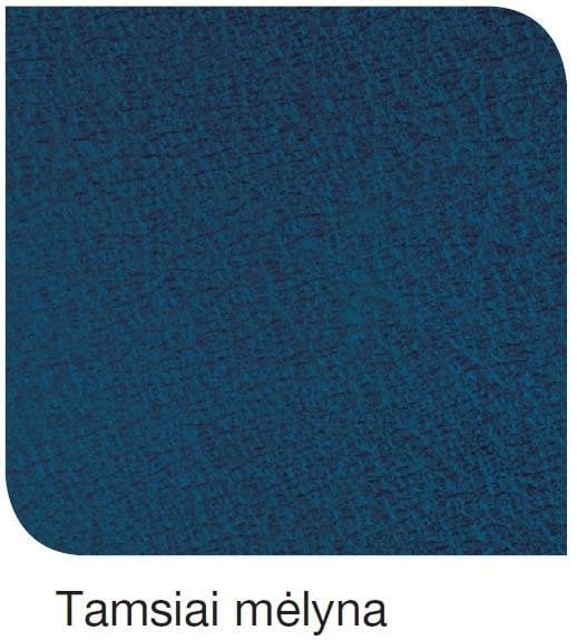 ANTICORROSIVE PAINT HAMMERED TUMESININE