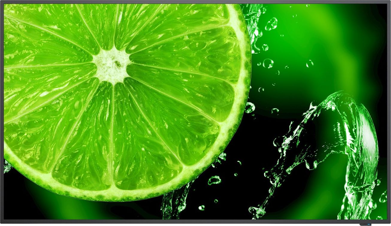 Monitor NEC MultiSync E498 (60005052)