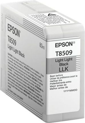 Tusz Epson Wkład atramentowy UltraChromeHD Light Light Black (C13T850900)
