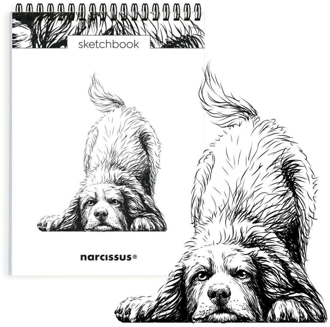 Szkicownik A5/60K na spirali - Pies Berneńczyk