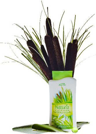 Joanna Naturia Szampon do włosów tatarak 2w1 500 ml