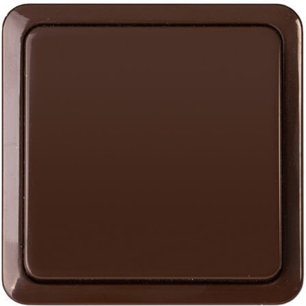 SWITCH P610-010V TOP CL1 BROWN SL+
