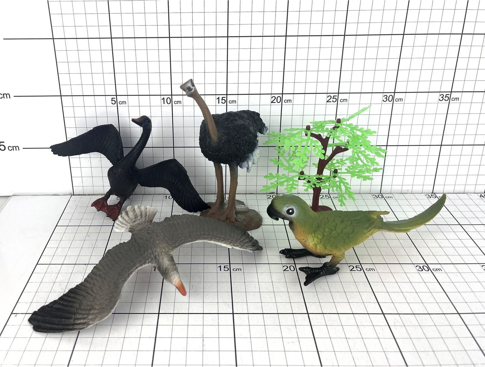 PTAKI 5 SZT. W FOLII