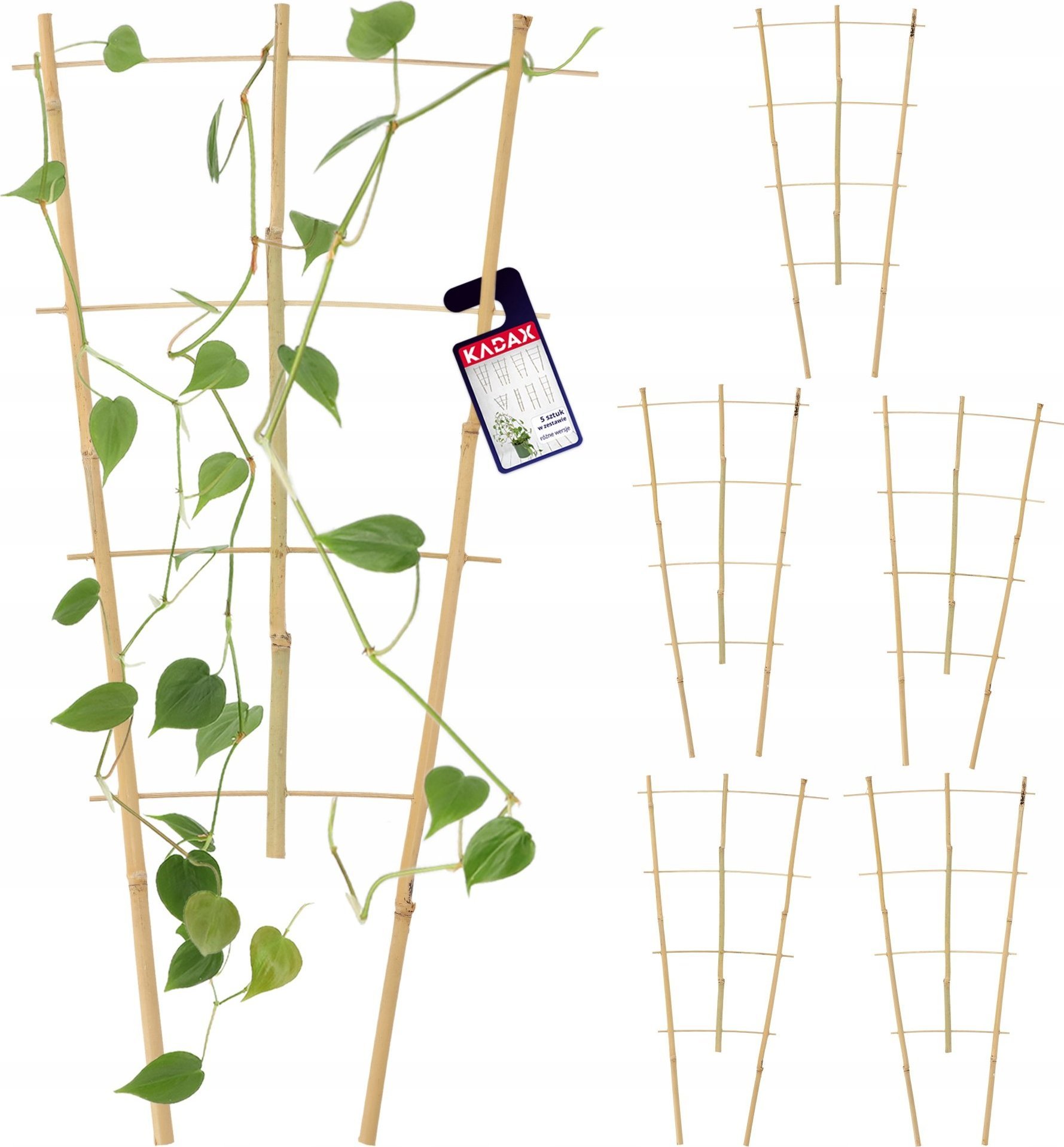 Kadax Drabinka Bambusowa Pergola Podpora 60 cm 5 szt