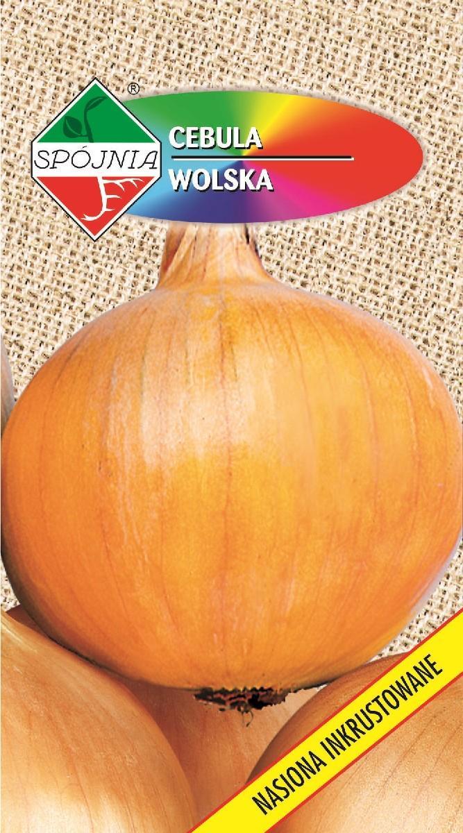 Polan Cebula Wolska TOR 5g Spójnia