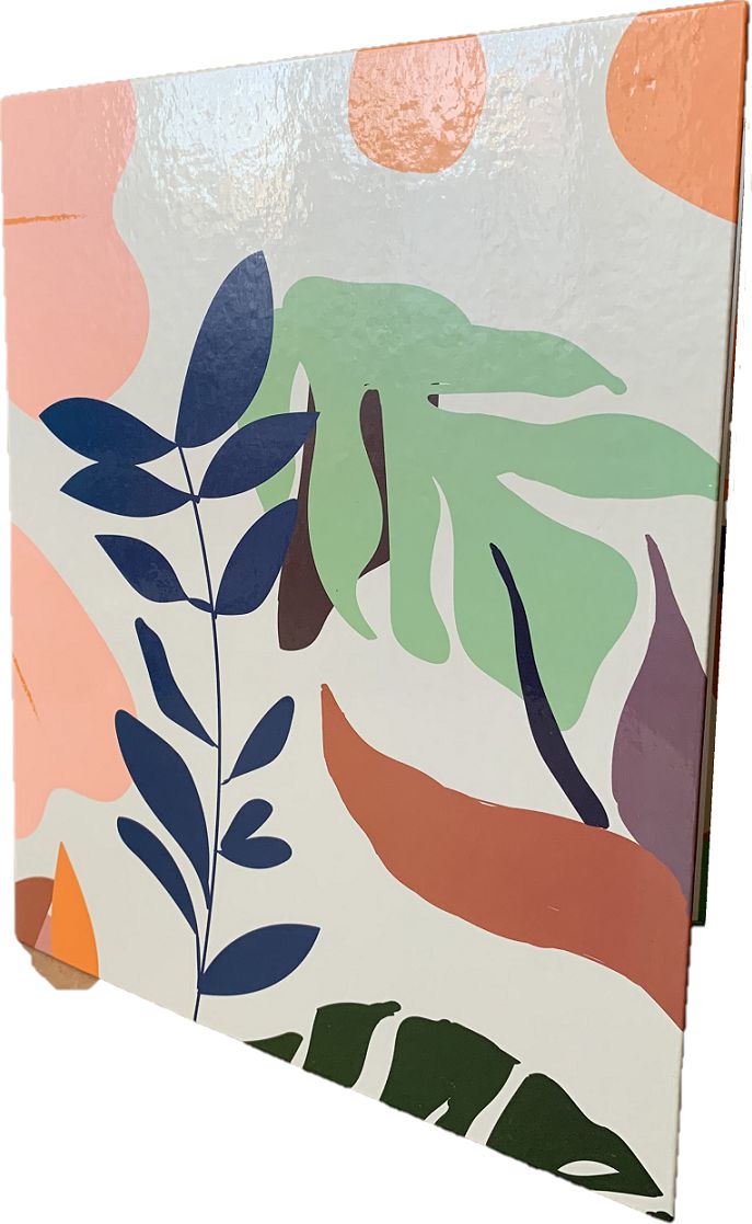 Segregator ADELANTE 2-ringowy A4 20mm zielony