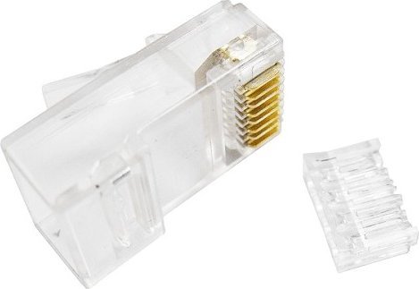Extra Digital RJ45 jungtis UTP CAT6, 100 vnt.