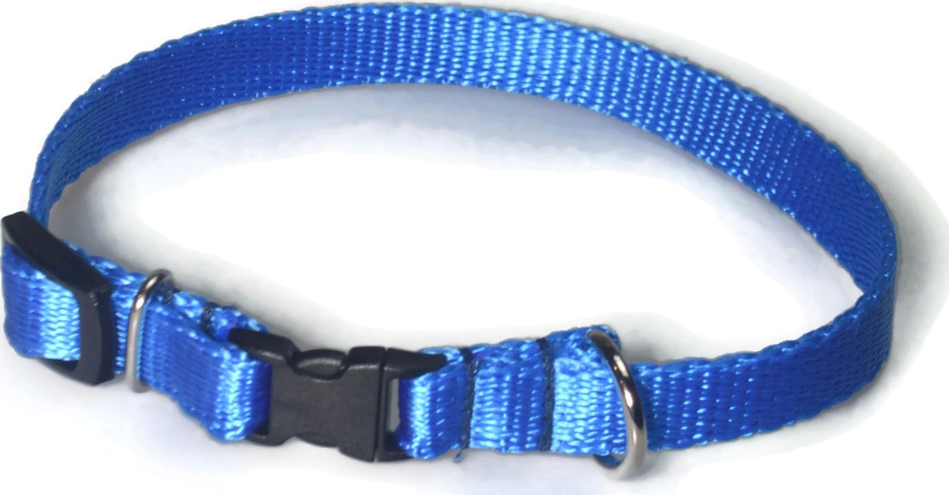 Alizoo Obroża dla małego psa 13mm/21-36cm - ALIZOO