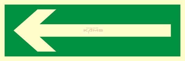 TD Systems AA008 Kierunek drogi ewakuacyjnej.