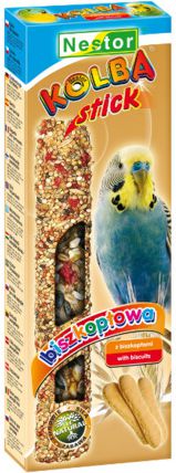 Nestor KOLBA PAPUGA MAŁA BISZKOPT