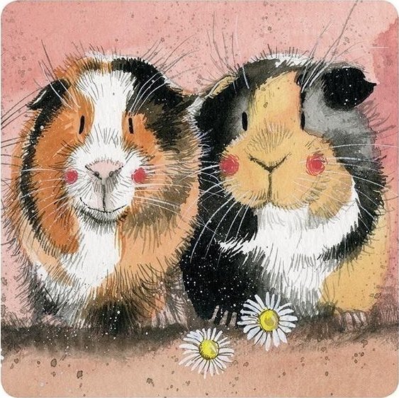 Podkładka pod kubek C128 Świnki morskie