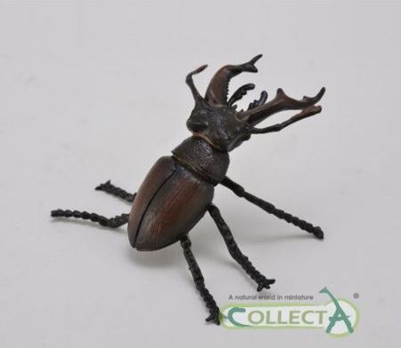 Figurka Collecta Jelonek rogacz (004-88703)