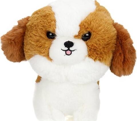 Carmotion Maskotka Teddy Pets, Shih Tzu