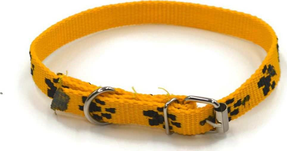 Alizoo Obroża w łapki 15mm, metalowa klamerka - ALIZOO