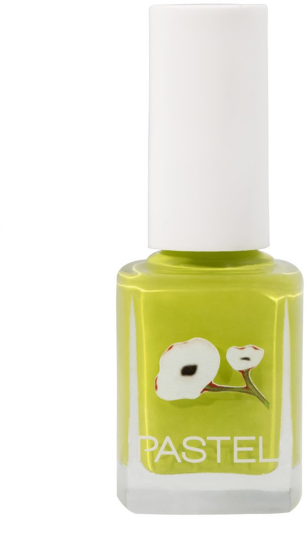 Pastel Lakier do paznokci 13ml (417)