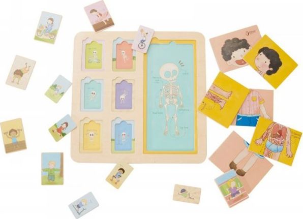 Classic World CLASSIC WORLD Tablica Edukacyjna Ciało Ludzkie Układanka Klocki Puzzle dla Dzieci Dopasuj 19 el.