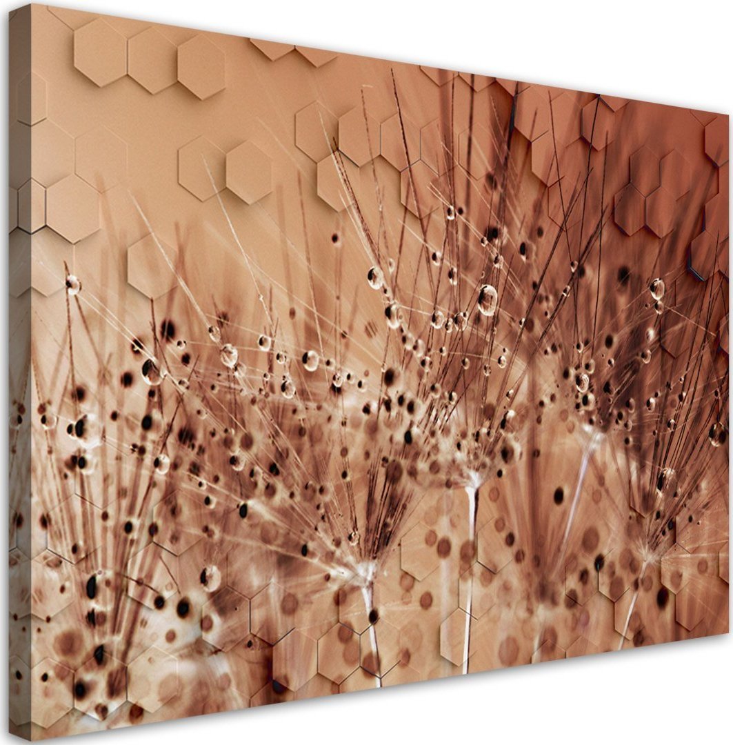 Feeby Obraz na płótnie, Dmuchawce w kroplach rosy - 120x80