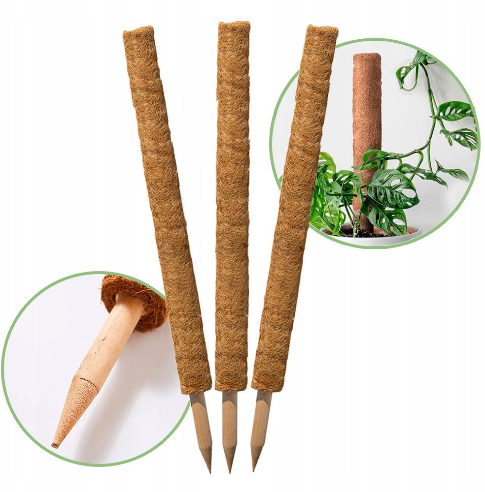 Palik kokosowy 60 cm podpora do roślin tyczka 3 szt ZESTAW