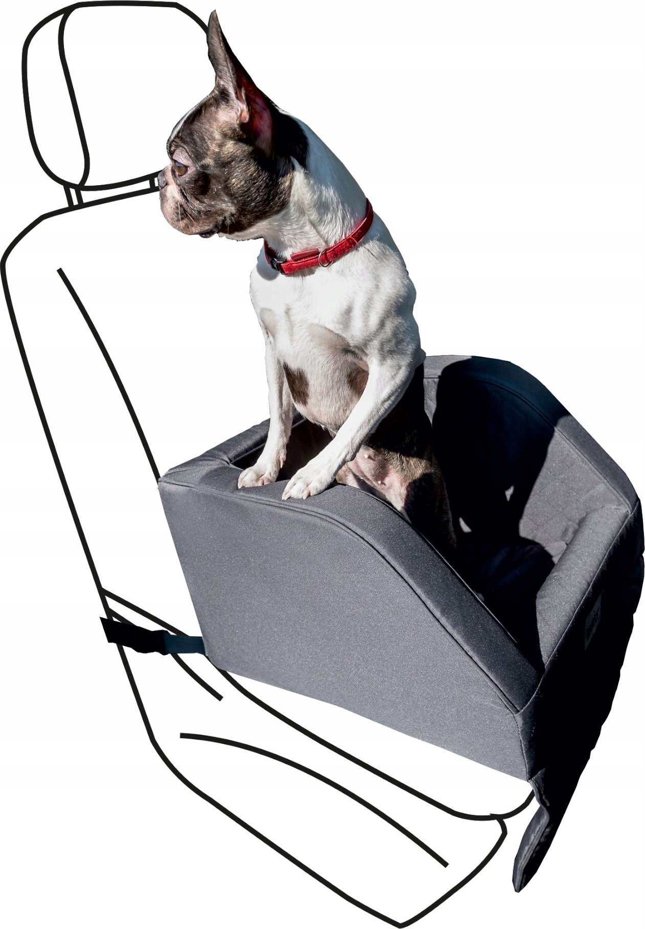 DOGGY TRANSPORTER TRIP OXFORD GRAFIT