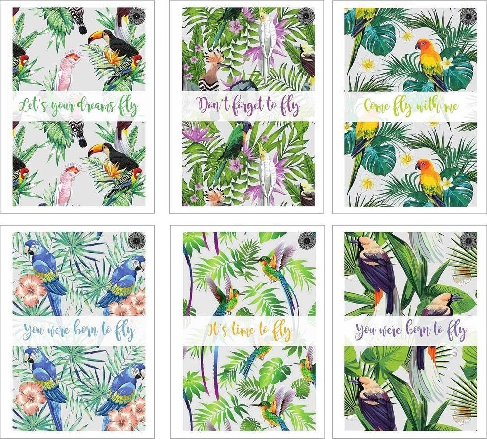 Ziemia Obiecana Brulion B5/96K kratka Fowl (5szt)