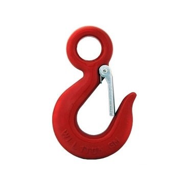 Hak z uchwytem i zabezpieczeniem 1000kg