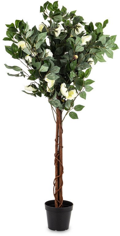 Drzewko Dekoracyjne Kamelia