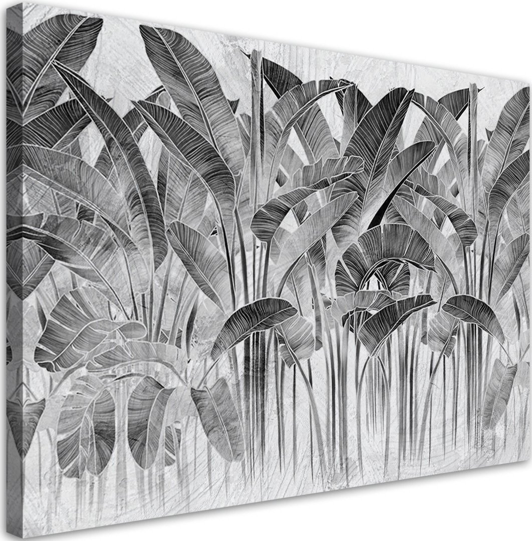 Feeby Obraz na płótnie, Szare liście bananowca - 90x60