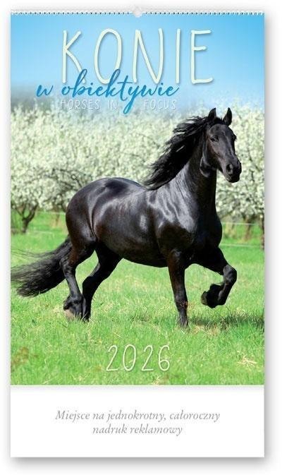 Lucrum Kalendarz 2026 Konie w obiektywie