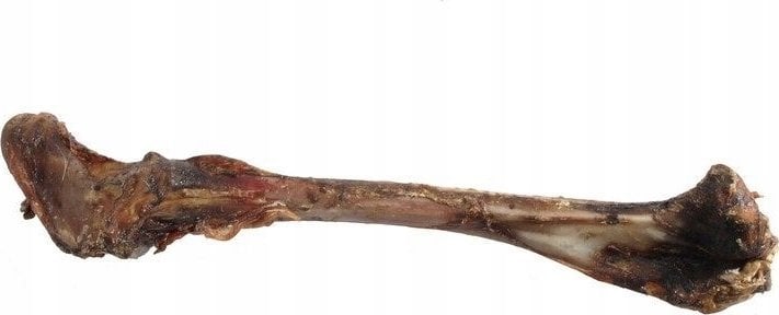 UNISZKI Kość jelenia średnia 1szt