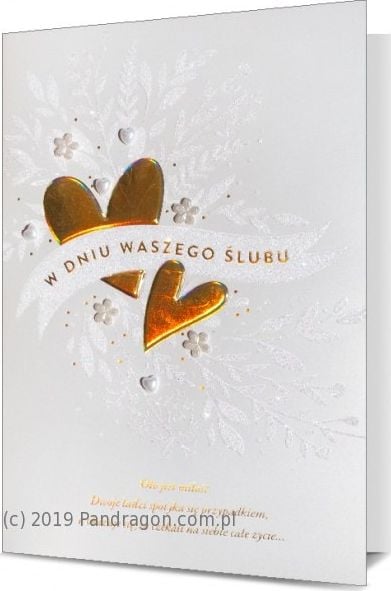 Pan Dragon Kartki karnet B6 HM 200-1821 Ślub Pan Dragon