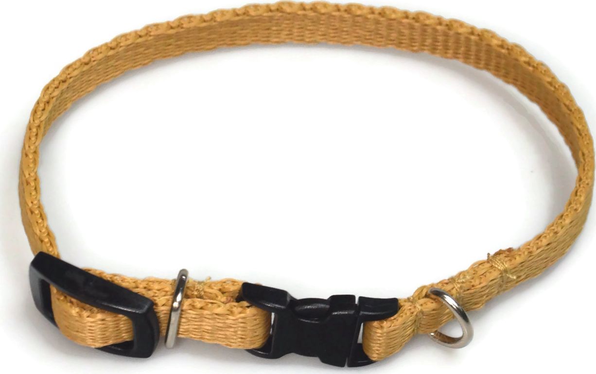 Alizoo Obroża dla psa 10mm/18-29cm - ALIZOO