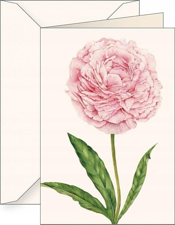 Teka Karnet B6 + koperta 6141 Piwonia chińska