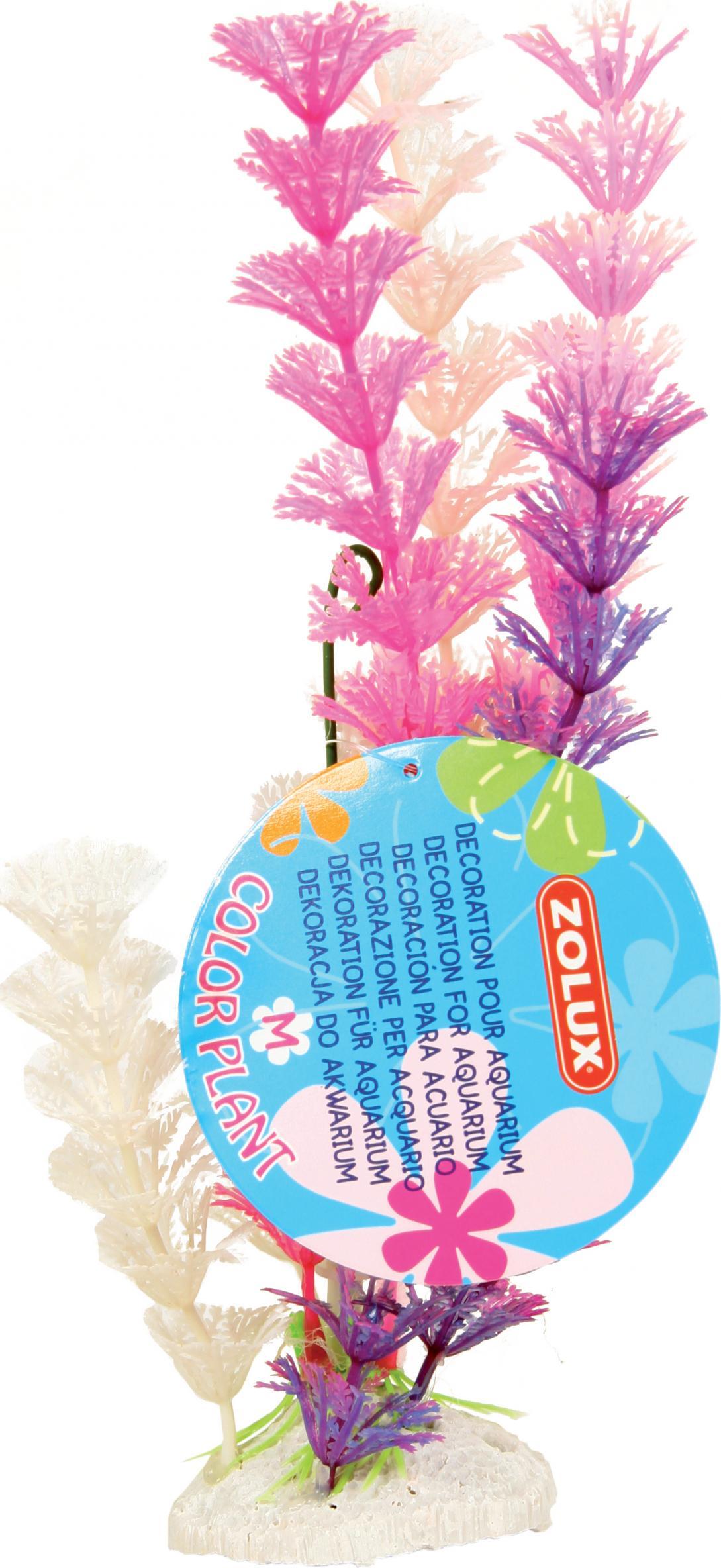 Zolux ZOLUX Ozdoba roślina Color Plant M różne kolory