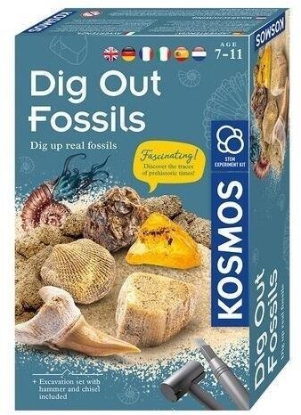 Kosmos Zestaw archeologiczny skamielin KOSMOS