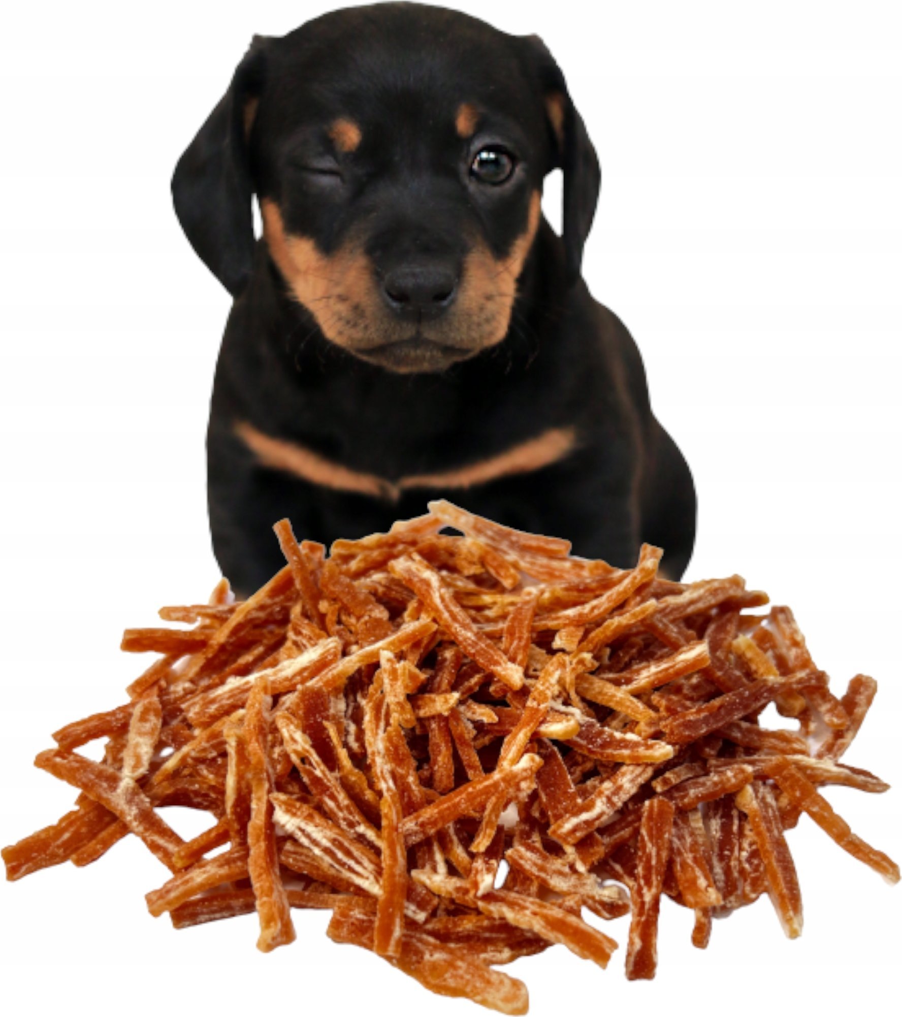 ALDA ALDA G834 JUNOR PASKI Z KACZKI 250g