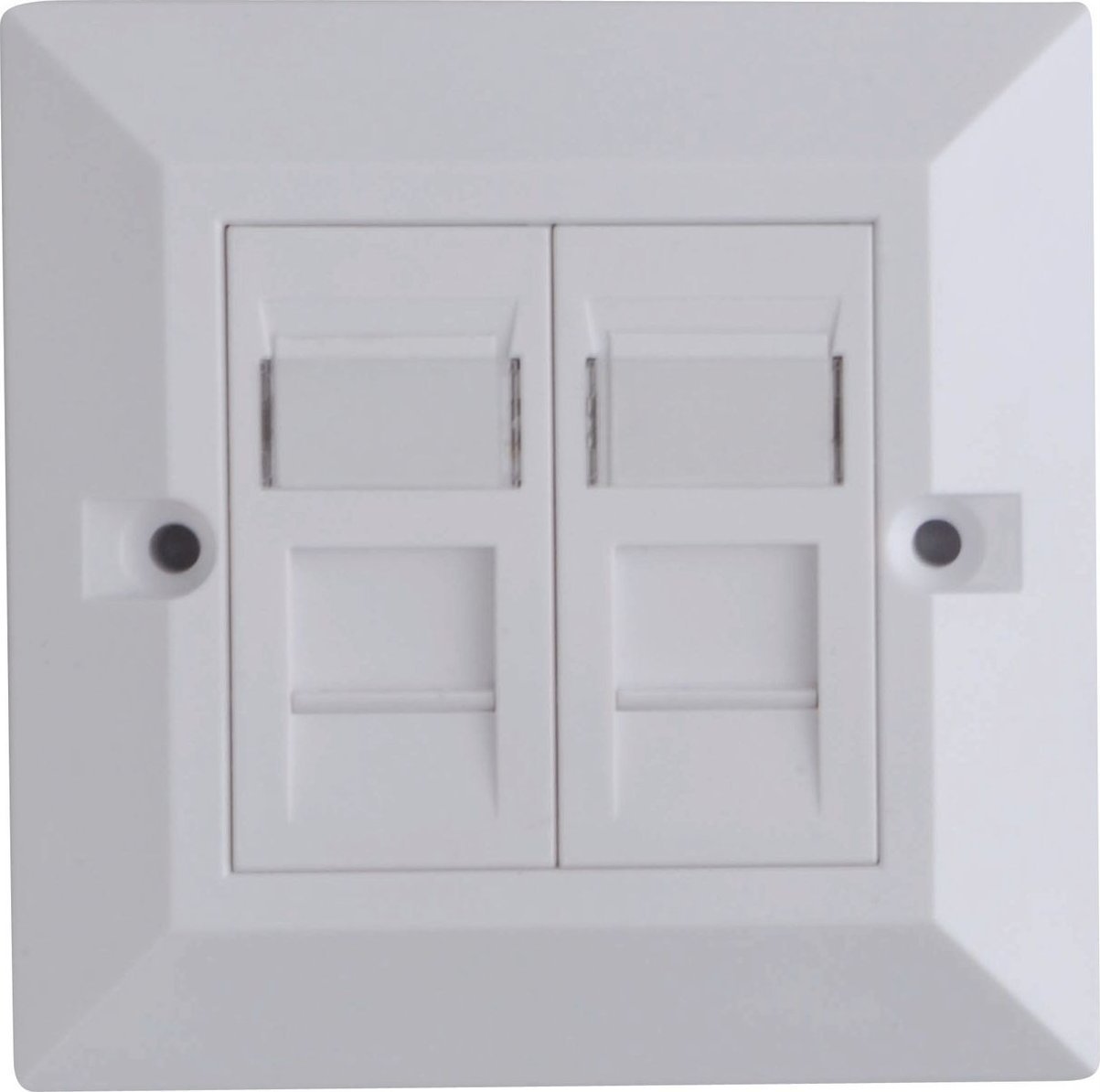 Lanview CAT6 Faceplate Dual Gang UK