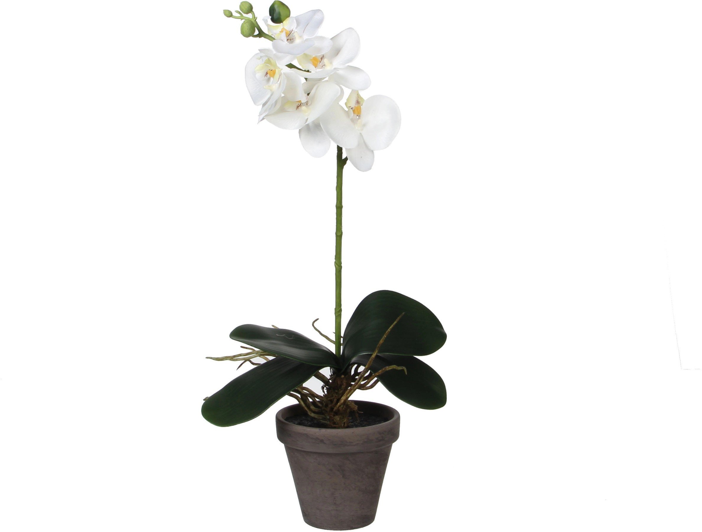 FLOWER ARTIFI IN POT ORCHID WHITE H48CM