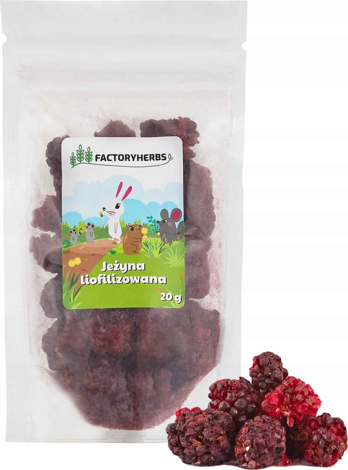 FACTORYHERBS Jeżyna liofilizowana 20g
