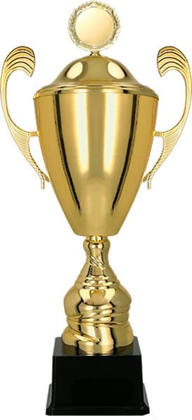 Victoria Sport PUCHAR