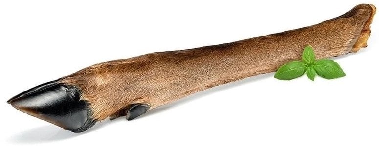 ARAMI C RACICA JELENIA Z FUTREM 1szt.