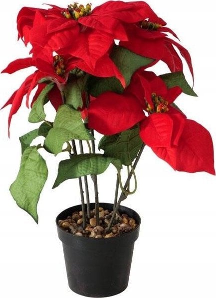 Dekoracja świąteczna Boltze gwiazda