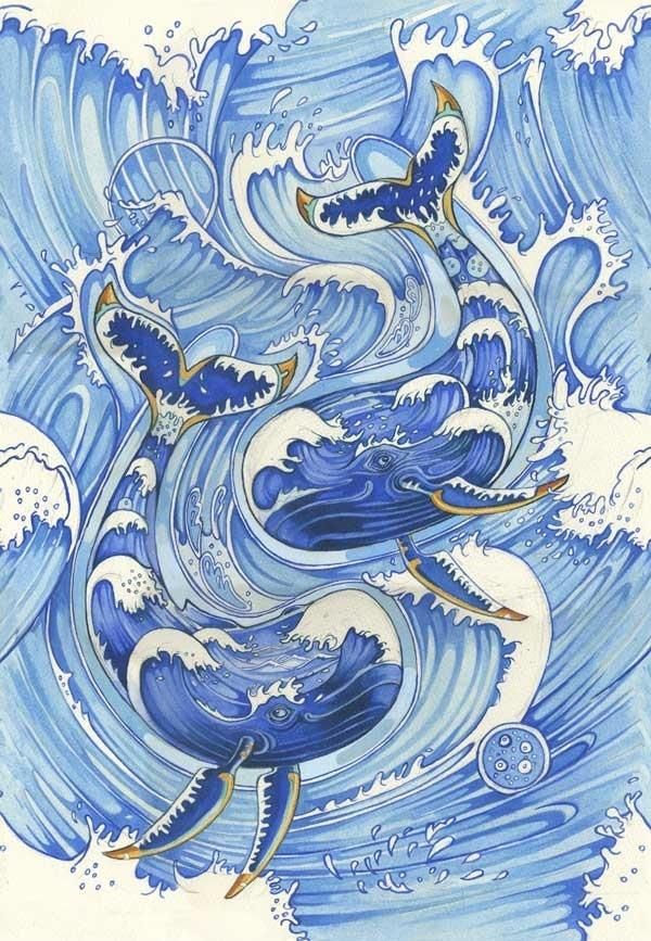 DM Collection Karnet A134 B6 + koperta Wieloryby