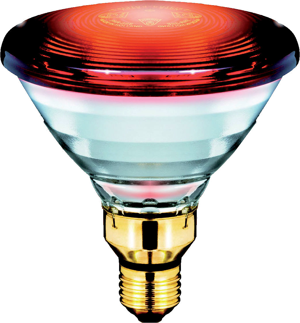 Philips Promiennik podczerwieni PAR38 IR 230V 150W E27 (871150012887415)