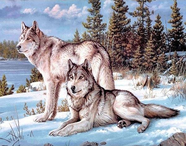 Norimpex Mozaika diamentowa 5D - Wilki 40x30cm