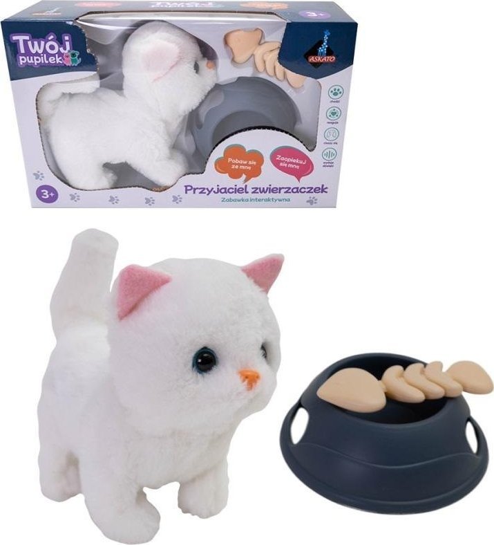 Kotek na baterie z akcesoriami