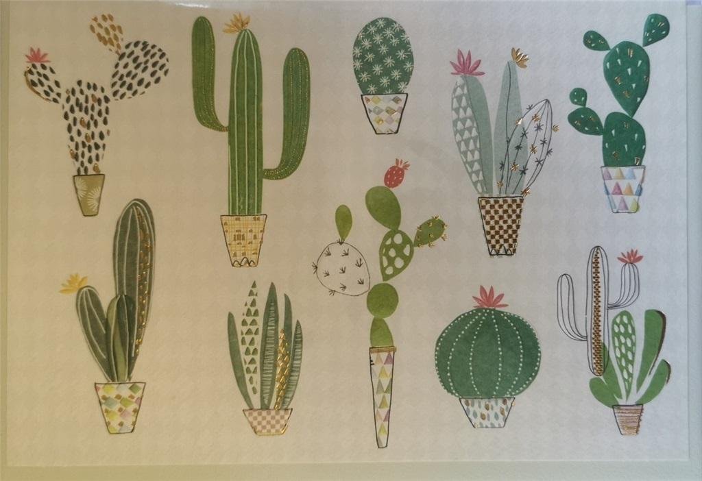 Turnowsky Karnet B6 + koperta MO7475 Kaktusy