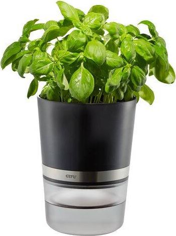 Gefu Gefu Botanico Herb Pot